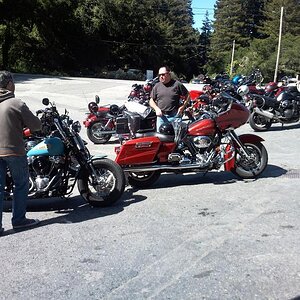 More of the local scene