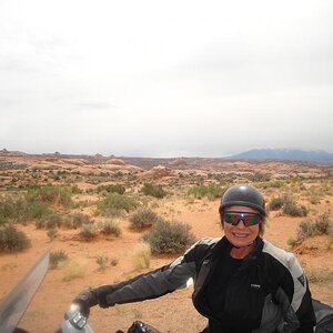 Arches National Park, Utah - Petrified Dunes