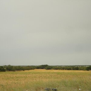 Abilene, TX - Looking out my back door.