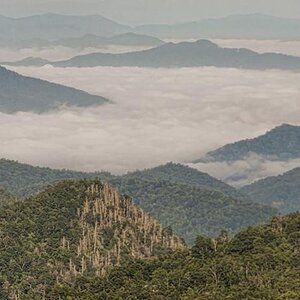 From Blue Ridge Parkway