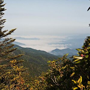 From Blue Ridge Parkway