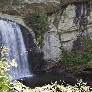 Looking Glass Falls