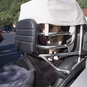 Fantastic dog hauler