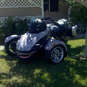 I got my pitbull tied up out front.  She's chillaxin in the shade.
