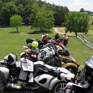 Line of Spyders at Lamont's