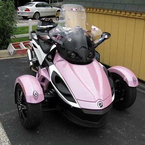 Catniption's Pink Spyder