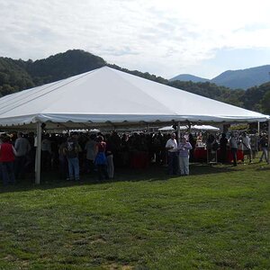 Activity in the BRP Store