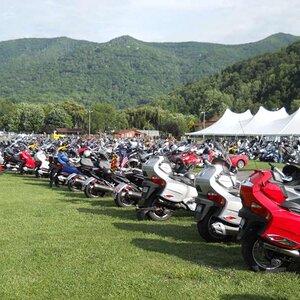 Some of the Record Crowd