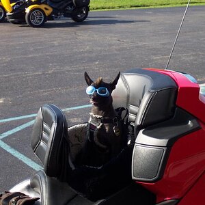 Shoals ride 2011 004