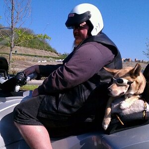 Spyder Dog ready to go