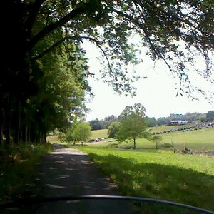 Lamonts L o o o o o n n n g g g g g g Driveway with a view of hundreds of SpYders in his front yard