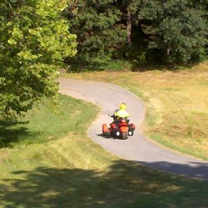 Mr. Orange Leaving Lamonts Bar-B-Q