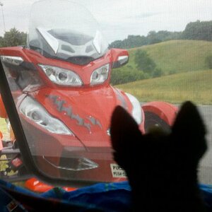 Teddy & I was bed'n down for the night & he was looking out of our camper at his SpYder. Lamont was nice enough to allow us to camp right there in his