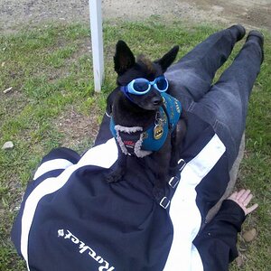 Deb "Planking" with Teddy on top - Close Up
