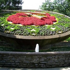 Floral Clock, Frankfort KY