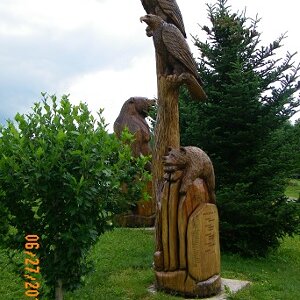 2011 06 27 Chainsaw Carvings at Addison Community Park