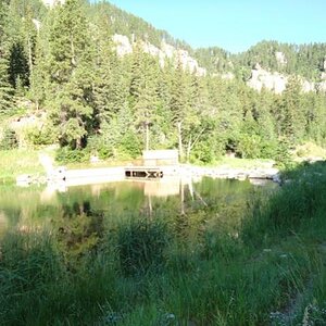 Spearfish Canyon in SD 1