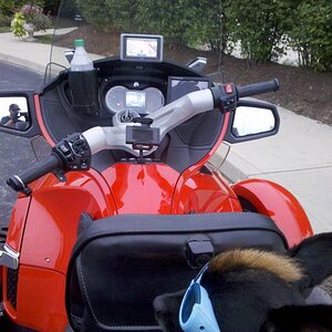 Teddy is Pleased with his new mods