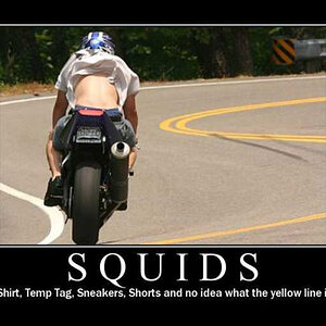 squid