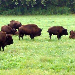 A nice surprise coming around a long, sweeping curve.