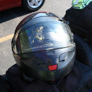 Huge dragonfly splat!