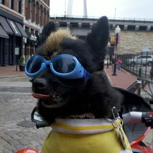 IMG 20110430 154759 1