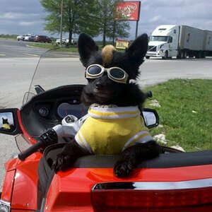 IMG 20110426 165544 edited