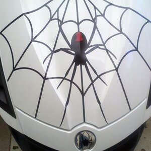 Front Spider and Web