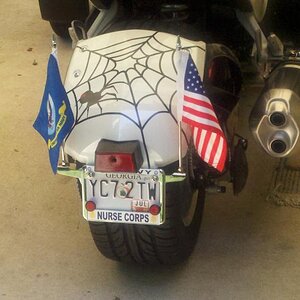 Web and Spider for the back