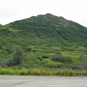 Hatcher Pass 8/6/11