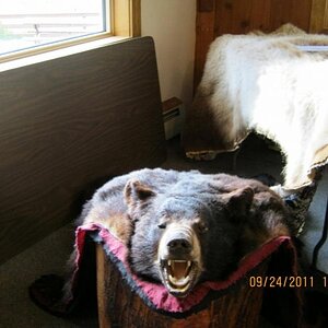 Don't mess with Dwayne