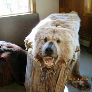 Don't Mess with Dwayne