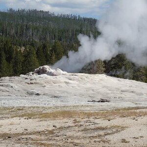 Old Faithful 1
