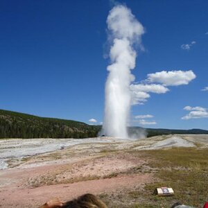 Old Faithful 4
