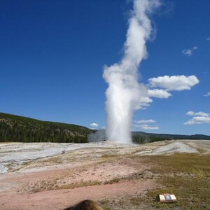 Old Faithful 5