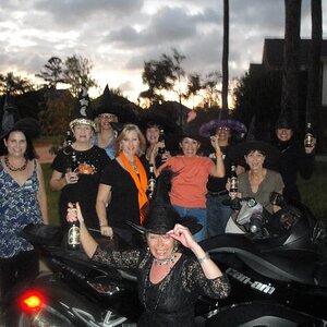 A salute to Irish from the Bunco Gals