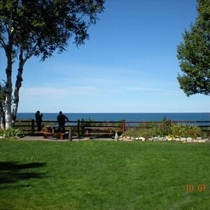 Tunnel of Trees 2011

View from Legs Inn