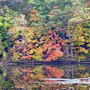 Michigan Color Tour 2011
Fitzgerald Park
Grand Ledge, MI