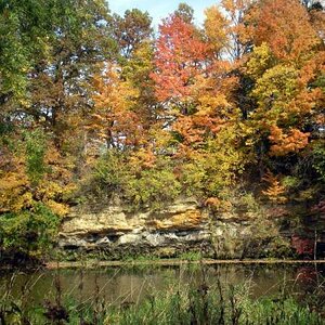 Michigan Color Tour 2011
Fitzgerald Park
Grand Ledge, MI