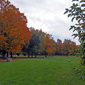 Michigan Color Tour 2011
Fitzgerald Park
Grand Ledge, MI