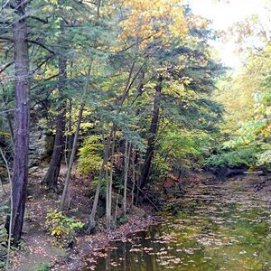 Michigan Color Tour 2011
Fitzgerald Park
Grand Ledge, MI
