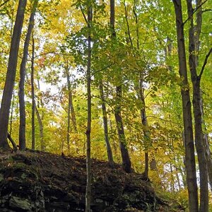 Michigan Color Tour 2011
Fitzgerald Park
Grand Ledge, MI