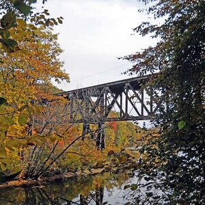 Michigan Color Tour 2011
Fitzgerald Park
Grand Ledge, MI
