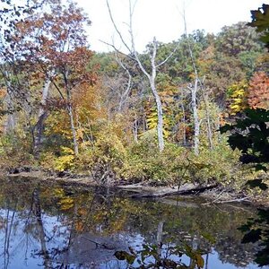 Michigan Color Tour 2011
Fitzgerald Park
Grand Ledge, MI