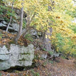 Michigan Color Tour 2011
Fitzgerald Park
Grand Ledge, MI