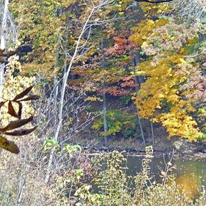 Michigan Color Tour 2011
Fitzgerald Park
Grand Ledge, MI