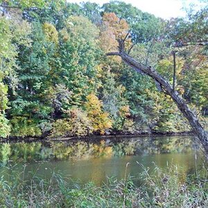 Michigan Color Tour 2011
Fitzgerald Park
Grand Ledge, MI