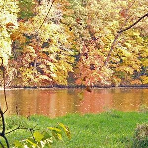 Michigan Color Tour 2011
Fitzgerald Park
Grand Ledge, MI