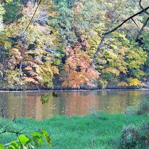 Michigan Color Tour 2011
Fitzgerald Park
Grand Ledge, MI