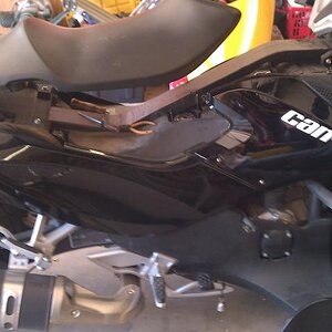 my "squished cricket" while changing out the body panels